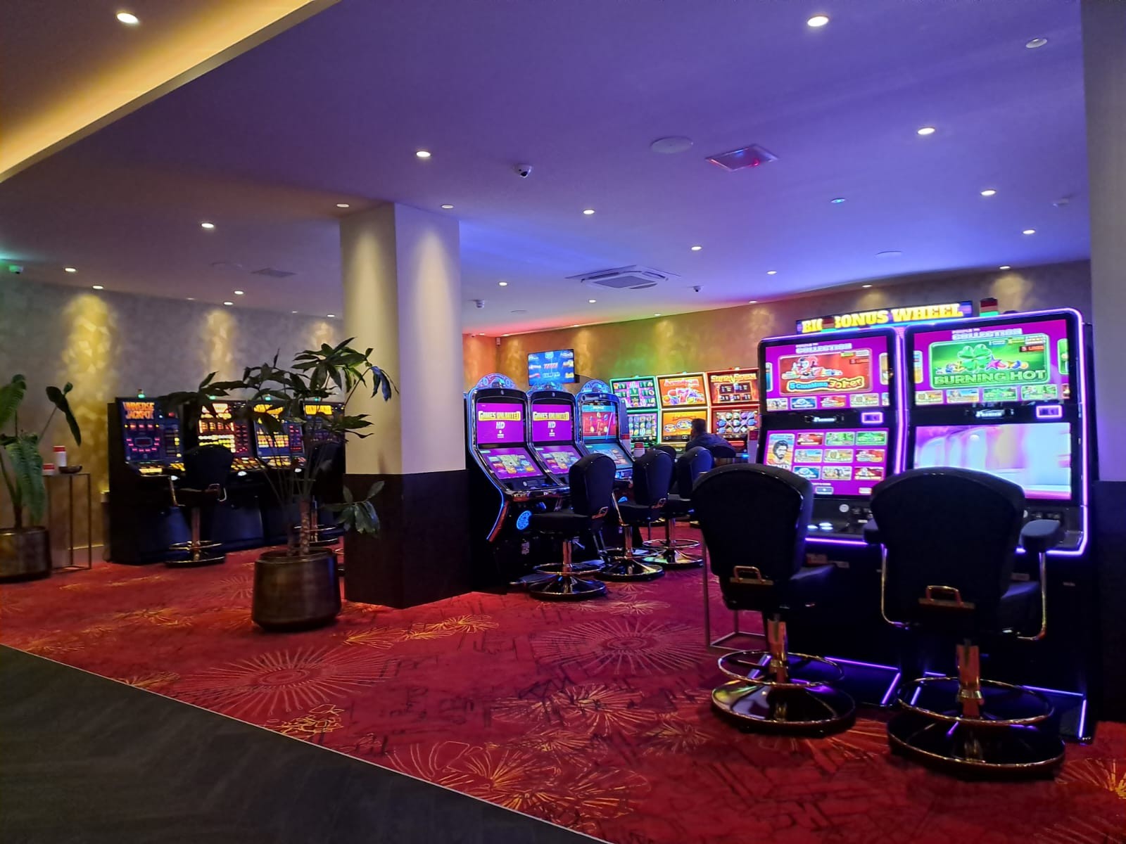 Informatie over deze training: 32e vestiging van Jack's Casino geopend in Emmen